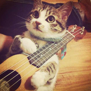 疯狂做爰全过程免费的网站
